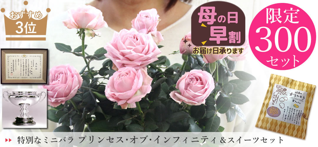 おすすめ３位：プリンセス・オブ・インフィニティと栗きんとんかりんとう
