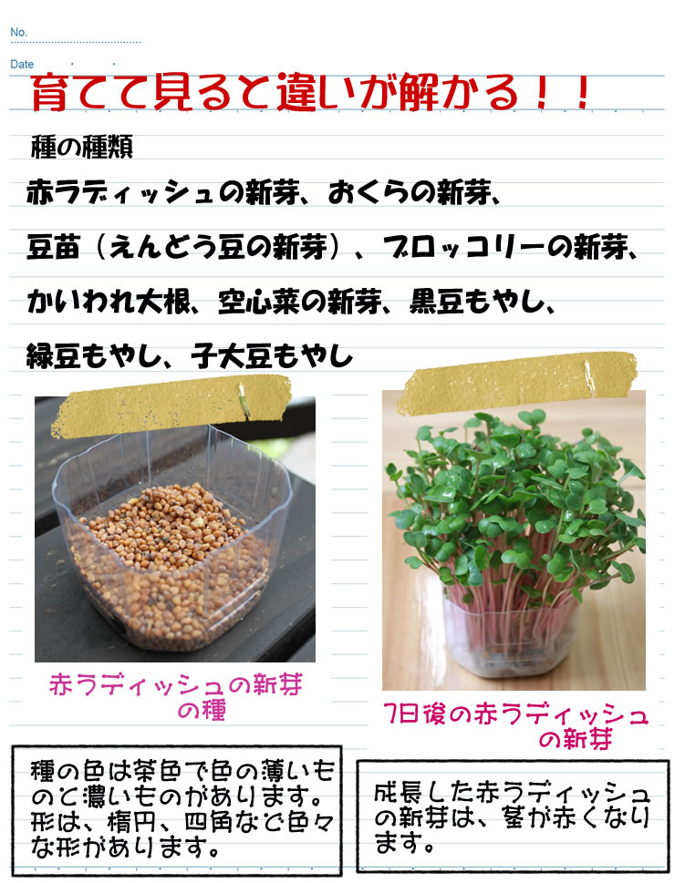 育ててみるとちがいが分かる