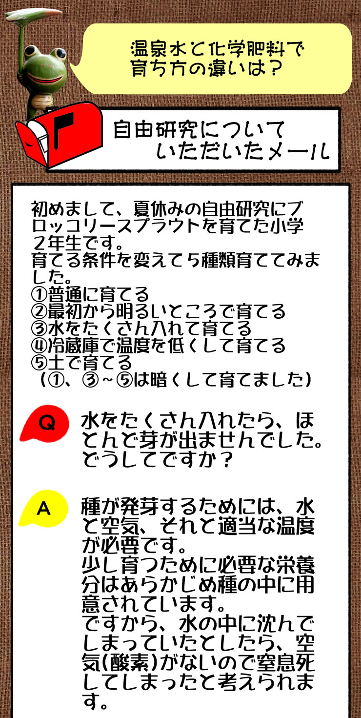 自由研究について　いただいたメール