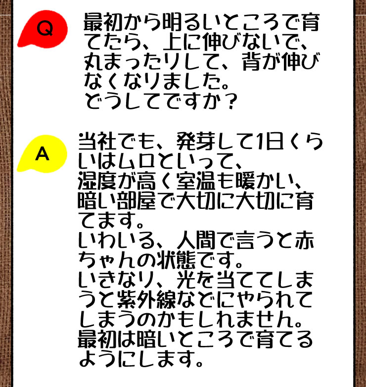 自由研究について　いただいたメール