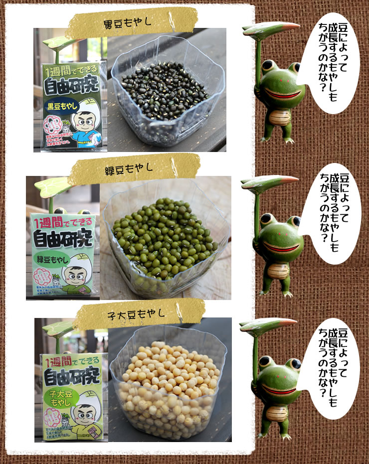 黒豆、緑豆、子大豆