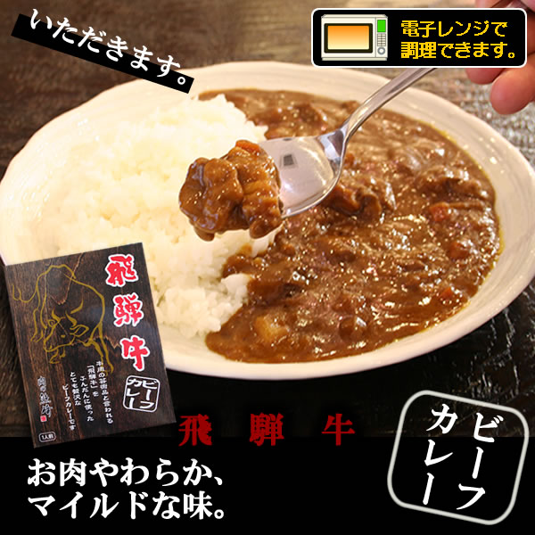 飛騨牛カレー