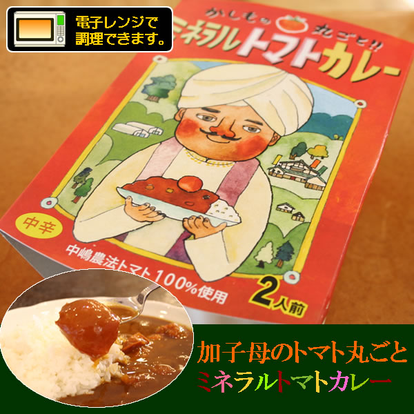 ミネラルトマトカレー