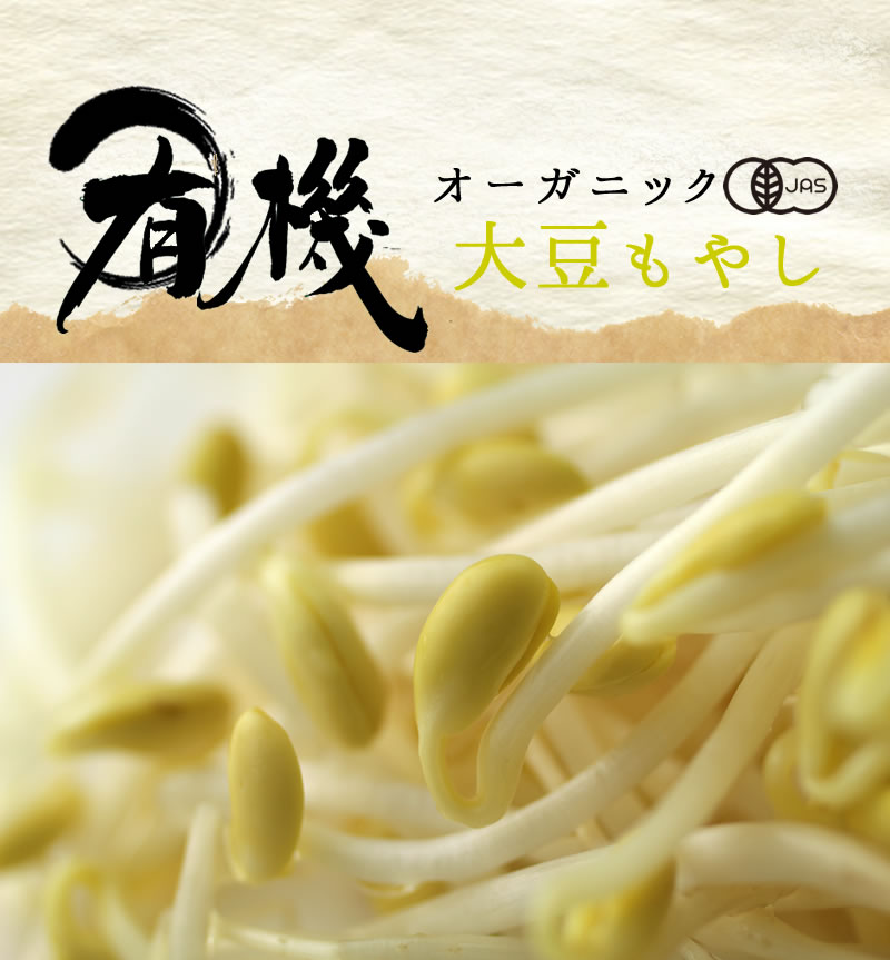 オーガニック大豆もやし