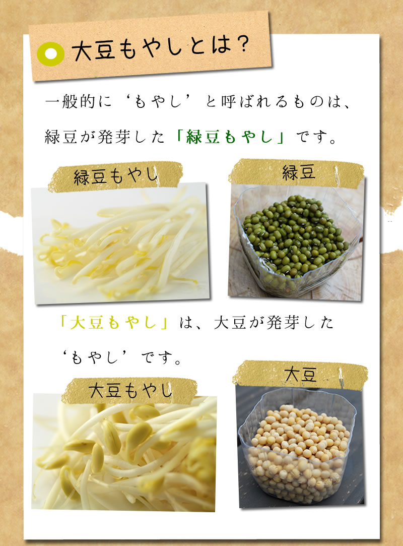 オーガニック大豆もやし