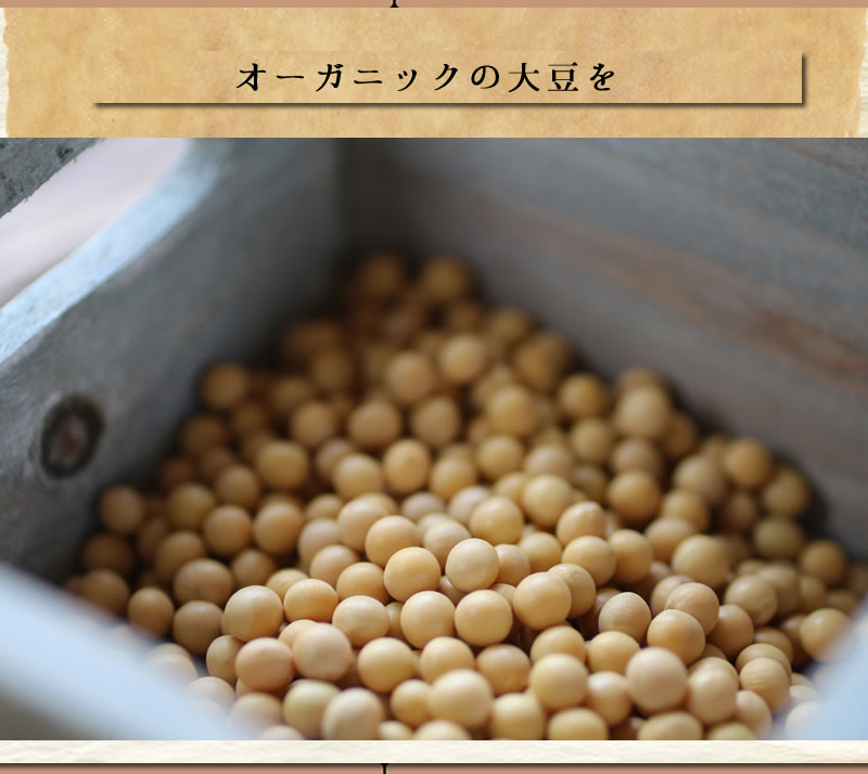 オーガニック大豆もやし