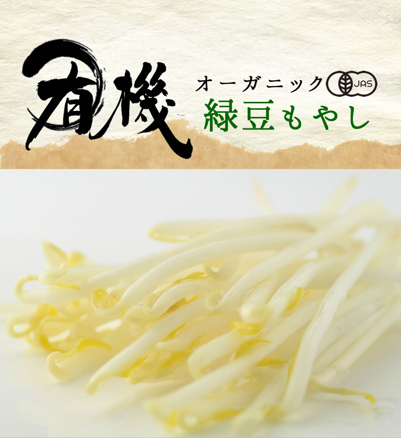 オーガニック緑豆もやし