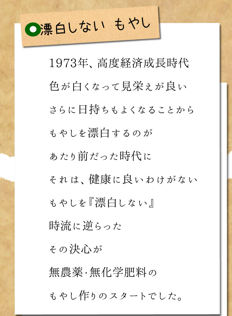 オーガニック緑豆もやし