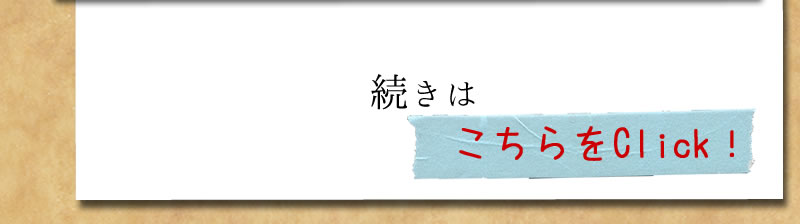 オーガニック緑豆もやし