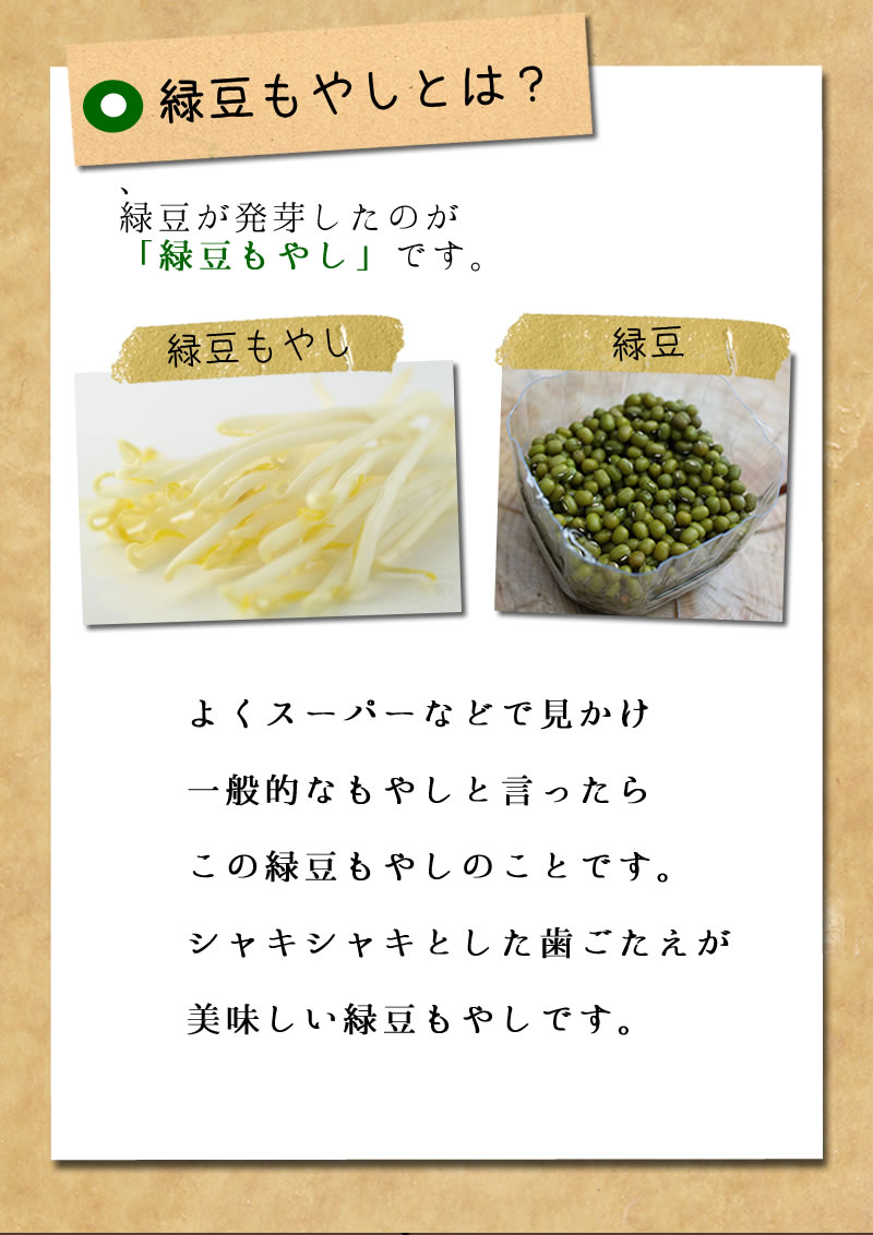 オーガニック緑豆もやし
