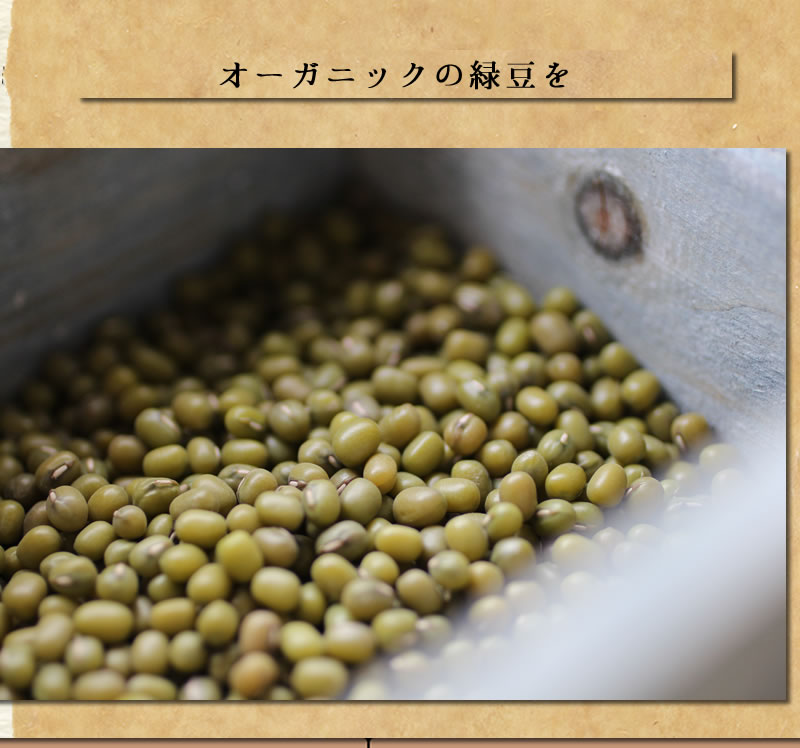 オーガニック緑豆もやし