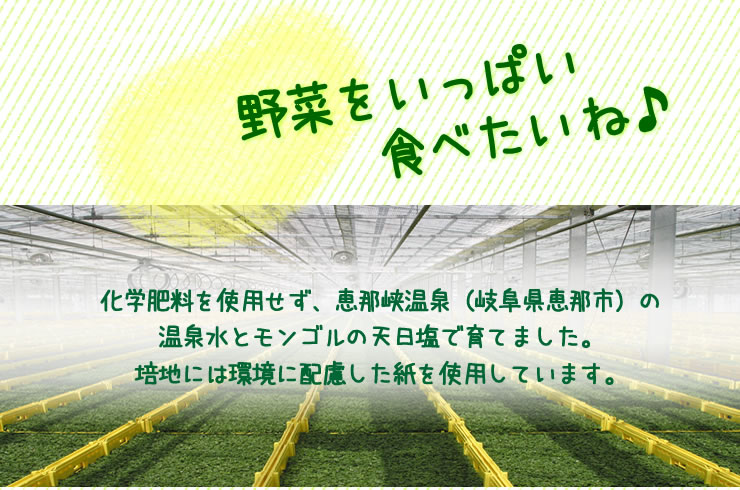 野菜をいっぱい食べたいね♪　安全・安心・健康　サラダコスモの野菜