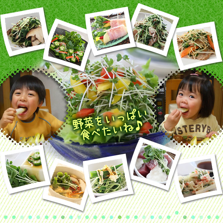野菜をいっぱい食べたいね♪　おくらの新芽