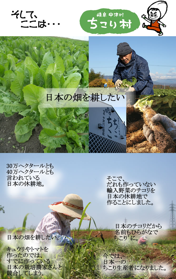 化学調味料不使用●命の塩ぬちまーす使用「ちこり村の玉ねぎスープ」