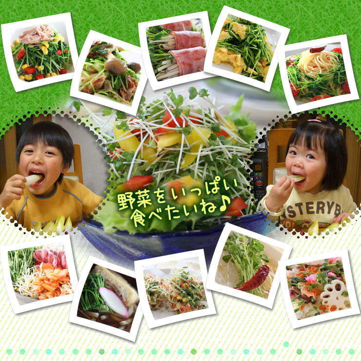 野菜をいっぱい食べたいね♪　えんどう豆の新芽　豆苗